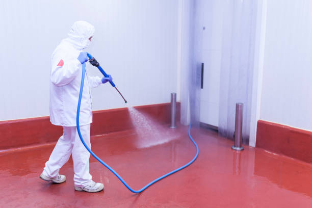 Pre-Holiday Cleaning in Roanoke, IN