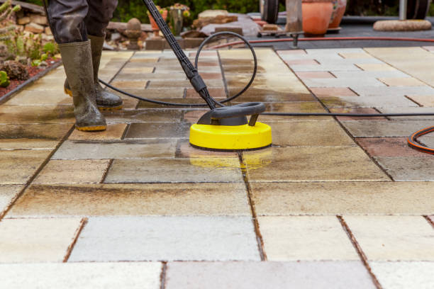 Best Dumpster Area Cleaning  in Roanoke, IN