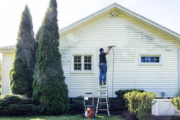 Trusted Roanoke, IN Pressure Washing Experts